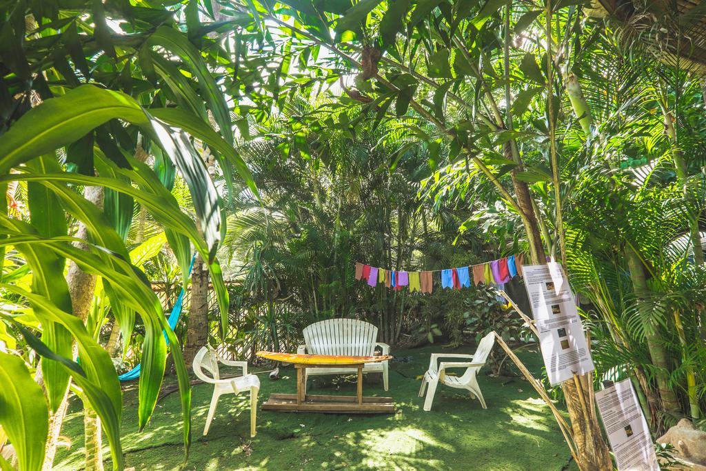 Pura Vida Hostel タマリンド エクステリア 写真